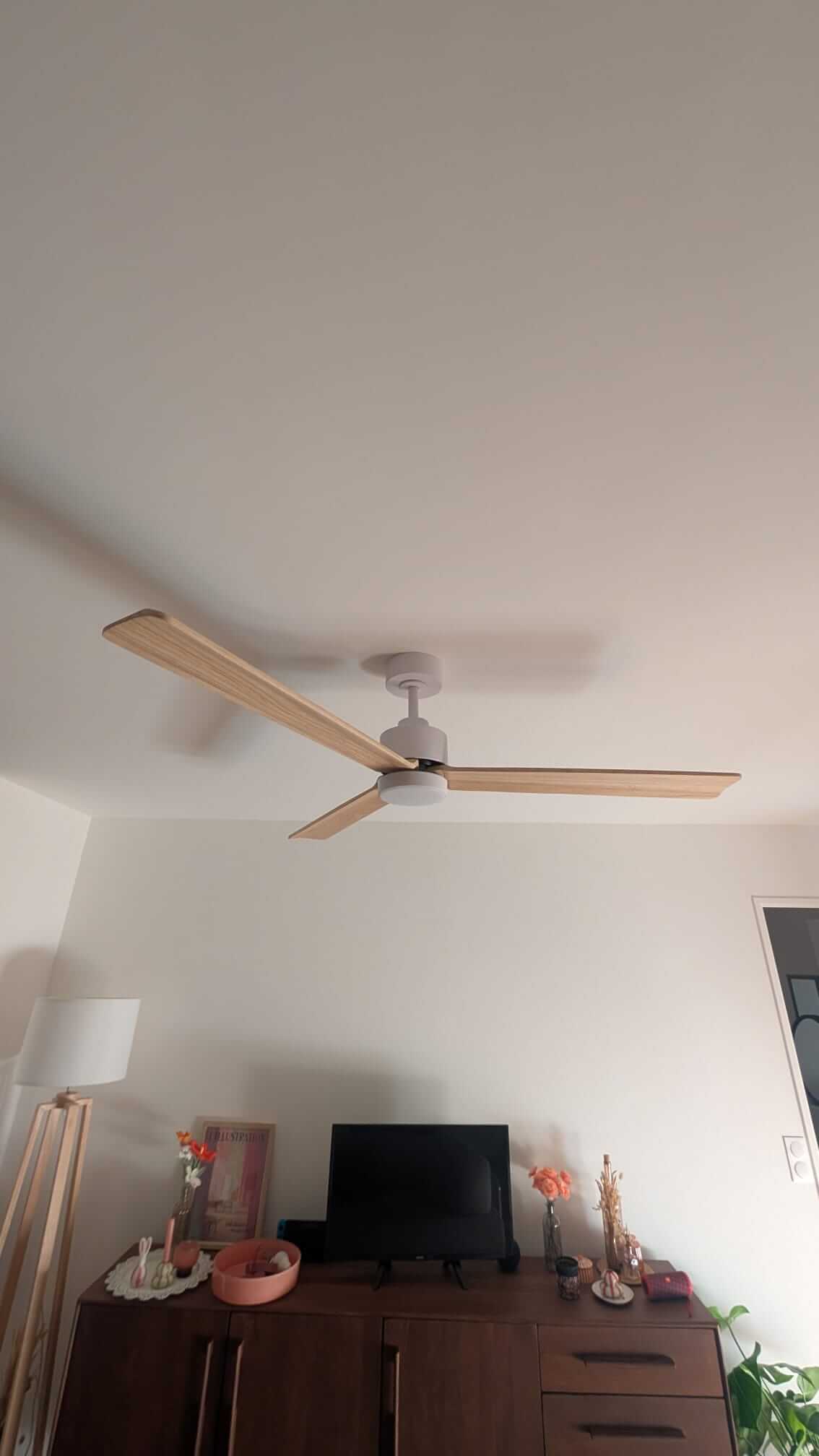 Ventilateur de plafond CREATE taille L installé à Saint-Ouen-sur-Seine