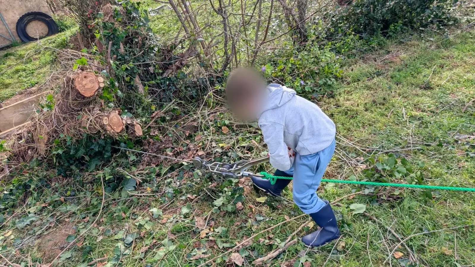 Un des enfants manœuvre le tirefort pour sortir une souche de la haie